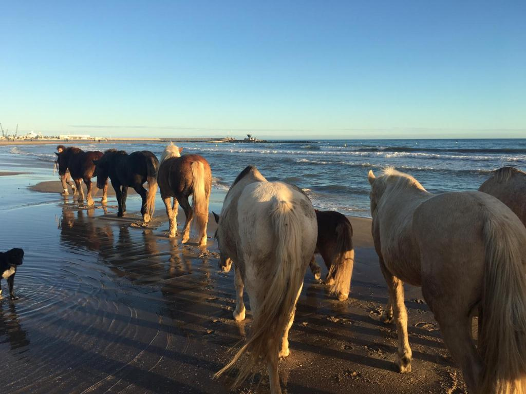 El camí finalitza a la platja de Vilanova i la Geltrú