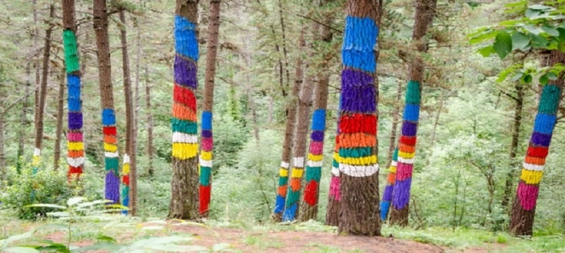 Imatge: El bosc d’Oma de l’artista basc Agustín Ibarrola. Ander Abadia Zallo