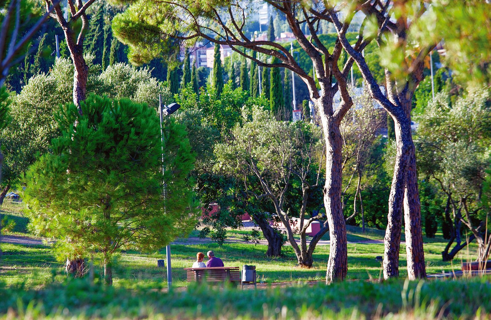 Parc del Calamot, un dels parcs que ampliarà la seva superfície