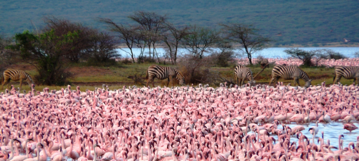 Foto Geoffroy Mauvais/IUCN