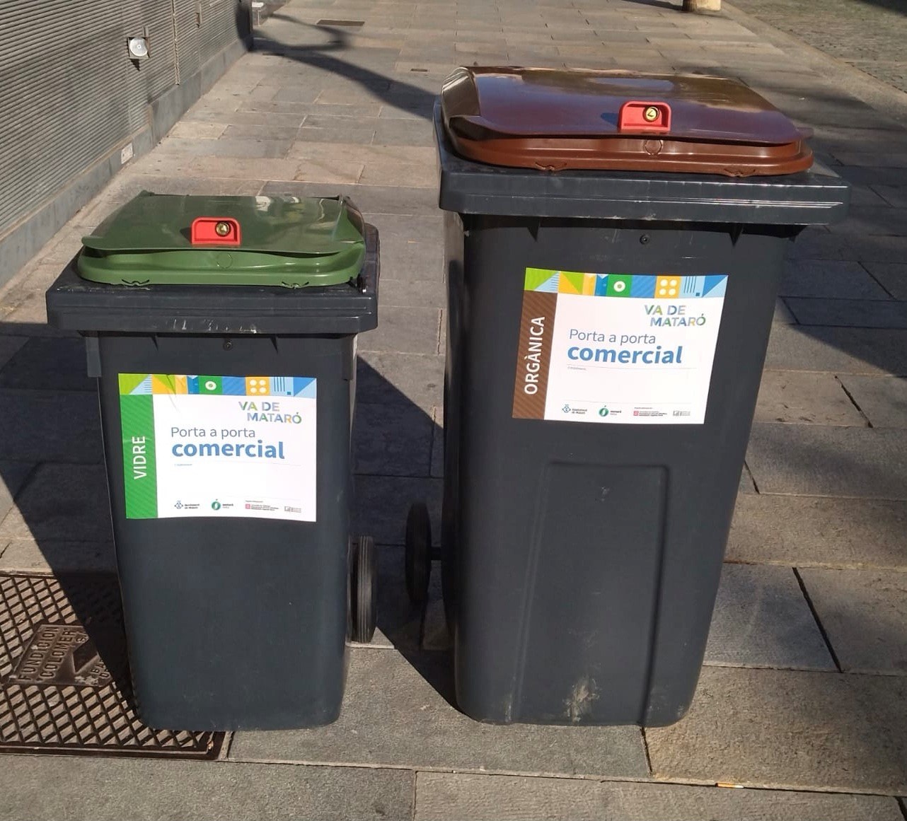 Bujols xipats per a la recollida comercial. Foto. Ajuntament de Mataró