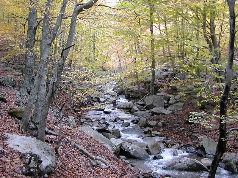 Foto: Equip tècnic del Parc Natural del Montseny