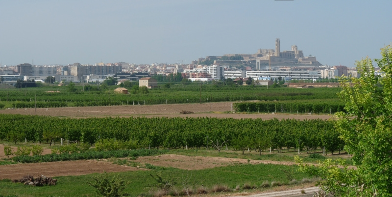 Ajuntament de Lleida Ajuntament de Lleida
