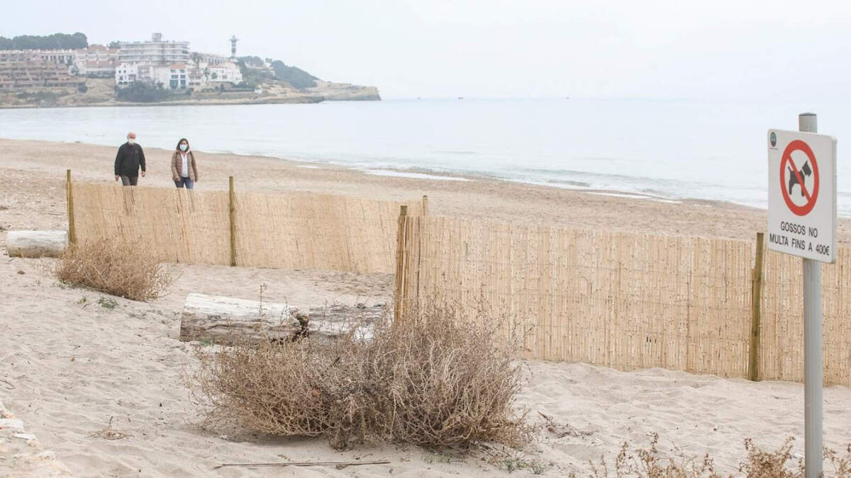 Premi 2020: protecció de les dunes a Altafulla