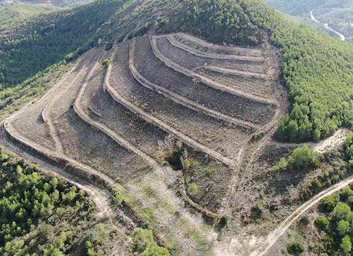 Marges de pedra seca i vinyes de Monombre, al Parc del Garraf. Autor: Carles Lluch