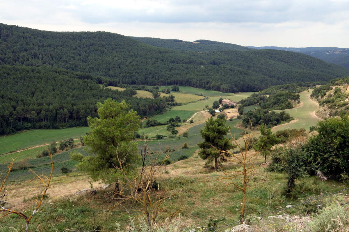 Pla obert d'una zona de Llobera, al Solsonès, on es pot apreciar la tipologia de paisatge mosaic | ACN