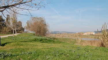 Riu Llobregat a Pallejà