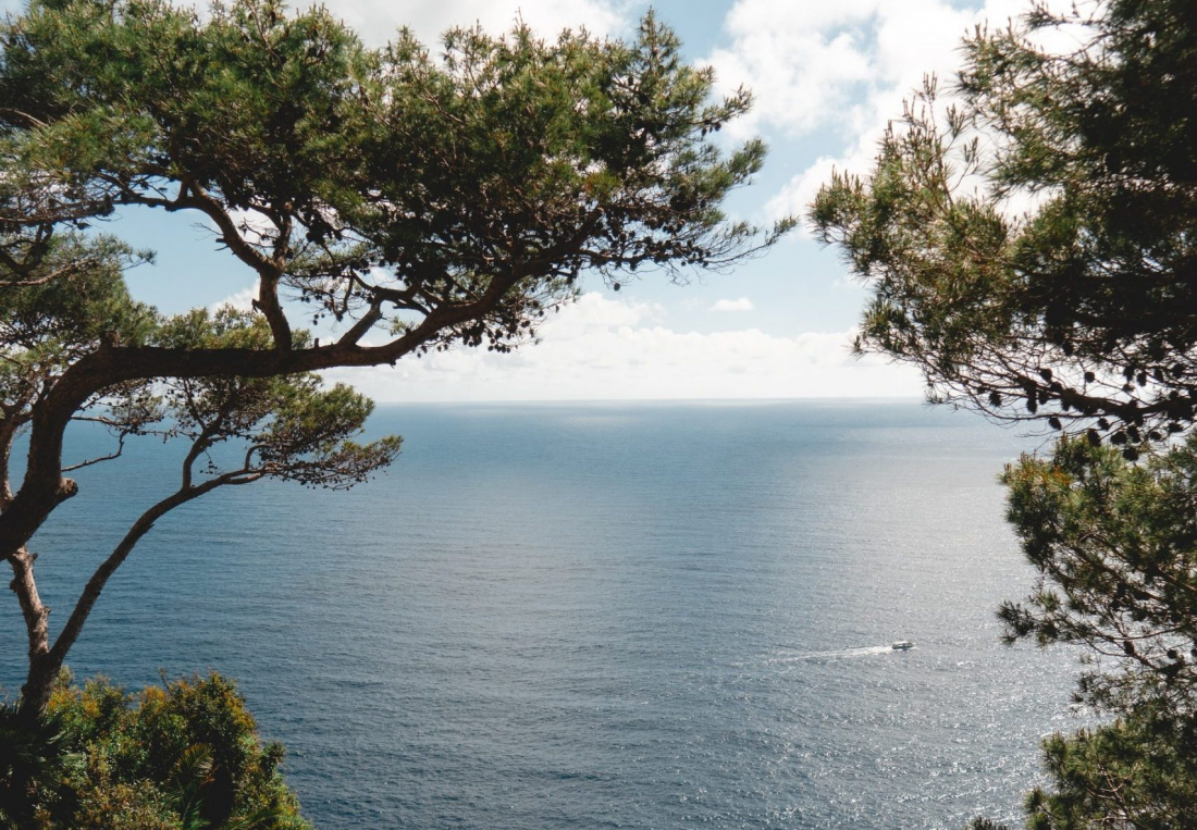 Mar Mediterrània Will Truettner on Unsplash