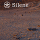 Associació Silene