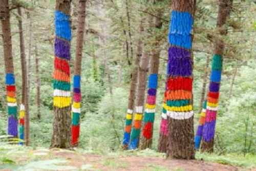 Imatge: El bosc d’Oma de l’artista basc Agustín Ibarrola. Ander Abadia Zallo