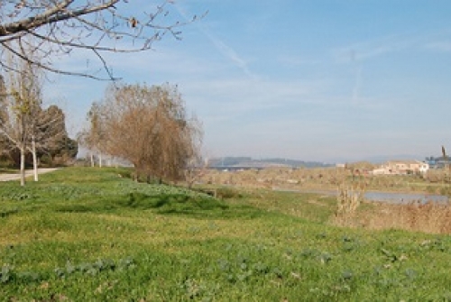 Riu Llobregat a Pallejà