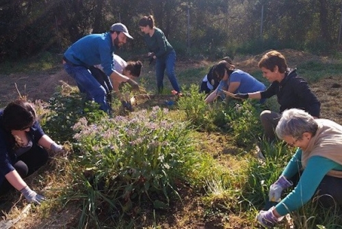 Els horts comunitaris reforcen el companyerisme i les activitats compartides. En aquesta foto es pot observar el treball en un bancal. Crèdit: Anna Àvila.