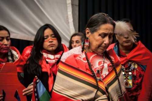 Photos: Ayşe Gürsöz / Indigenous Rising Media