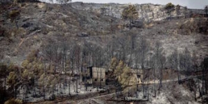 Fitxes de bones pràctiques per a la gestió forestal postincendi