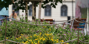 La Carta del verd i la biodiversitat guia el disseny dels espais verds de la ciutat de Barcelona