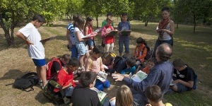 Guia didàctica: Valors socials i ambientals dels parcs