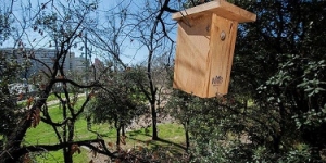 Caixes niu als parcs metropolitans