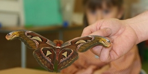 Viladecans fomenta la biodiversitat i la sostenibilitat