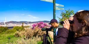 338 espècies de fauna observades