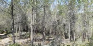 Programa de Prevenció d'Incendis de la Mancomunitat Penedès-Garraf