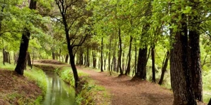 Aigua i Memòria de la Sèquia, un projecte d'educació ambiental