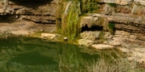 L'app 'Natura local' per potenciar el patrimoni natural a Santpedor