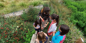Més de 600 persones identifiquen 200 espècies diferents al 4t Bioblitz Metropolità
