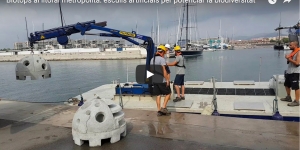 S'instal·len biòtops al litoral metropolità