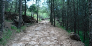 Manresa publica deu itineraris de natura per l’Anella Verda