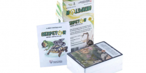 HerpetOn: amfibis i rèptils en joc
