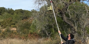 Santa Bàrbara i Can Bruguera, a Sitges, potencien la seva biodiversitat amb caixes niu i refugis