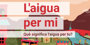 Dona i medi ambient