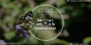 Estat Natura 2020: Mesurar i entendre la biodiversitat