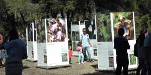Viladecans obre un nou centre d’informació ambiental al Remolar