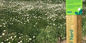 Sabadell potencia la biodiversitat als parcs de la ciutat