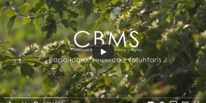 Catalan Butterfly Monitoring Scheme (CBMS)- Papallones, Recerca i Voluntaris