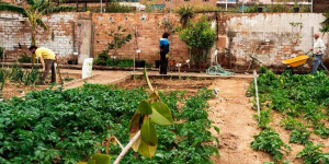 Agròpolis, un espai publicocomunitari per transformar el sistema alimentari de Barcelona