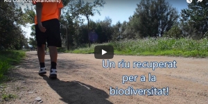 La recuperació del Congost i la creació dels aiguamolls de Can Cabanyes a Granollers