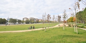 Igualada projecta un dipòsit de reg amb aigua freàtica al Parc Central