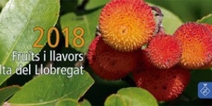 El calendari del Delta del Llobregat dedica l'any 2018 als fruits i llavors