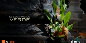 El Escarabajo Verde: "Sedientos de Verde"