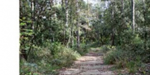 Nou fullet de l'itinerari 'Camins de Verdaguer' a l'Espai Natural de les Guilleries-Savassona