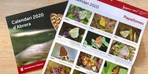 Les papallones d'Abrera, protagonistes del calendari pel 2020!