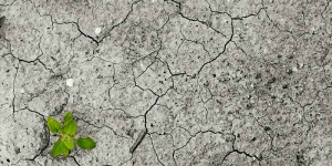 Si eres testimoni del canvi climàtic, comparteix-ho