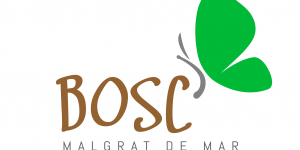 Malgrat crea el primer "Bosc de Papallones" públic de Catalunya