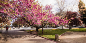 L'Ajuntament de Tarragona crea un mapa d'espais verds de la ciutat que localitza els parcs i jardins urbans i els espais d'interès natural