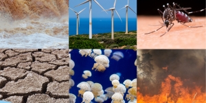 Canvi climàtic i ambiental a la conca mediterrània: situació actual i riscos per al futur