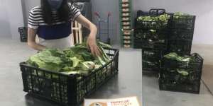 El Mercat Circular reparteix més de 8.000 quilos de menjar a entitats socials fomentant l’aprofitament alimentari a Mercavallès
