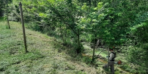 L'Ajuntament de Mollet contra el canvi climàtic, apostant per la biodiversitat a la Riera Seca al seu pas per Lourdes
