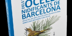 L’‘Atles dels ocells nidificants de Barcelona’ rep el Premi Crítica Serra d’Or de Recerca 2018